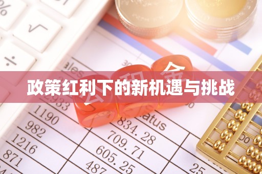 黄浦政策红利下的新机遇与挑战